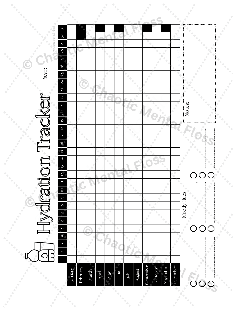Hydration Tracker (II)